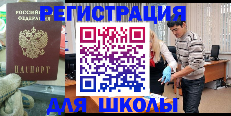 временная регистрация поиск в Мурманской области